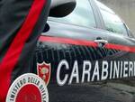 public/img/varie/carabinieri201873223343200_1.jpeg