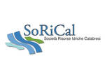 sorical