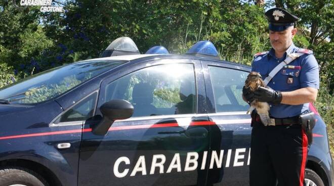 carabinieri