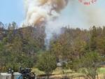 incendi calabria