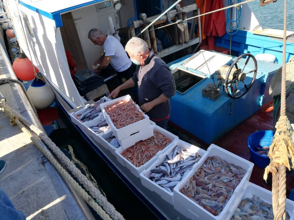 SPECIALE PORTO DI CATANZARO